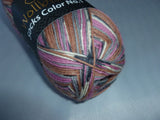 Sock Color by Wollbiene Yarn, Wool and Nylon Blend, 100 gm