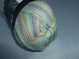 Sock Color by Wollbiene Yarn, Wool and Nylon Blend, 100 gm