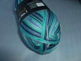 Sock Color by Wollbiene Yarn, Wool and Nylon Blend, 100 gm