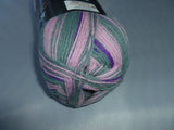 Sock Color by Wollbiene Yarn, Wool and Nylon Blend, 100 gm