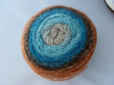 Sensy Cake Yarn,  Premium Acrylic, 150 gm, DK Light Worsted - Felted for Ewe