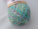 Tofutsies, 100 gm Sock yarn