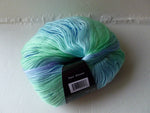 Prism by Mary Maxim, Self Striping, 100 gm - Felted for Ewe