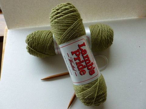 Pistachio Lamb's Pride Worsted  - Seconds -by Brown Sheep Company - Felted for Ewe