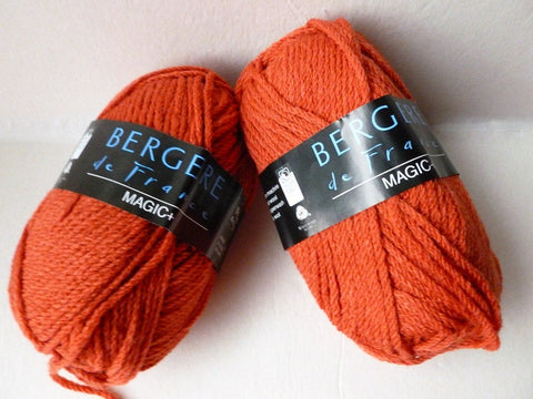 Corail  Magic+ by Bergere de France - Felted for Ewe